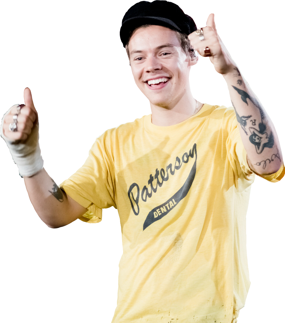 Harry Styles PNG High-Quality Image
