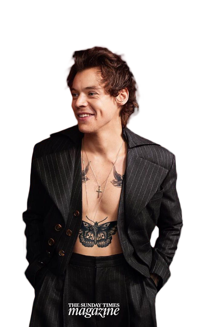 Harry Styles PNG Image Transparent Background
