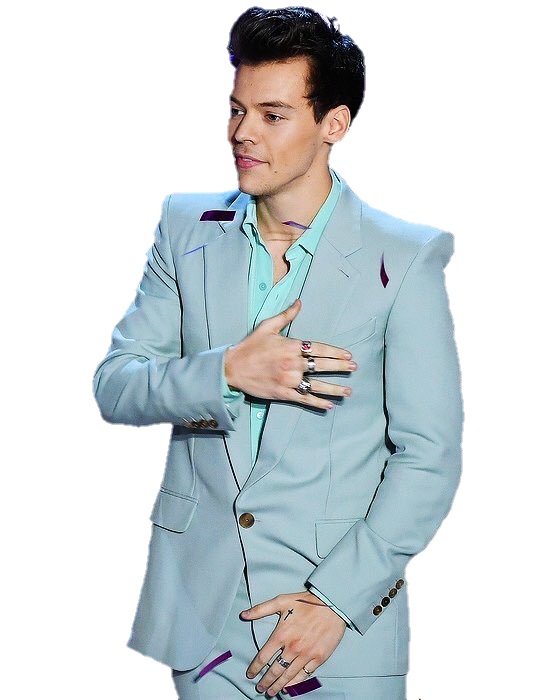 Harry Styles PNG-Bild transparent