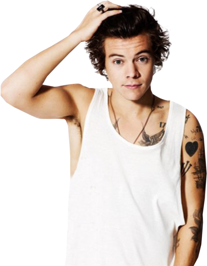 Harry Styles PNG Image