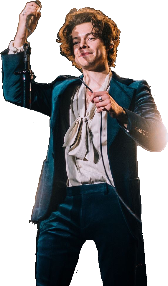 Harry Styles PNG Pic