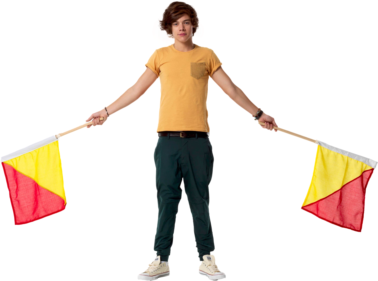 Harry Styles PNG Picture