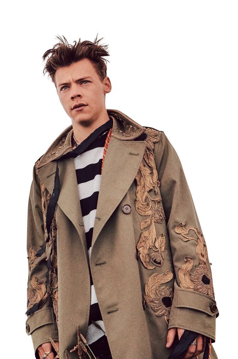 Harry Styles Rose Tattoo Png