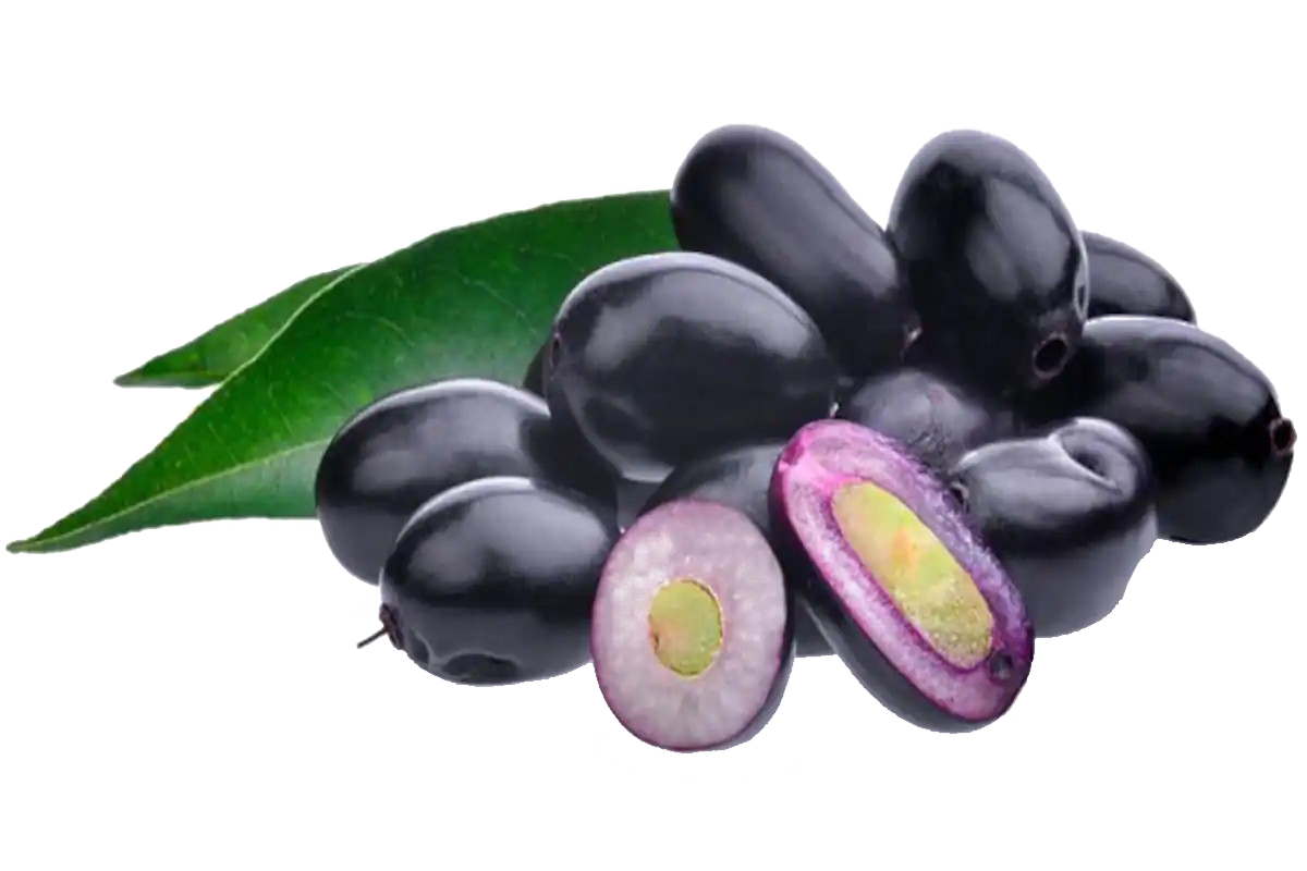 Java Plum Fruit PNG Pic