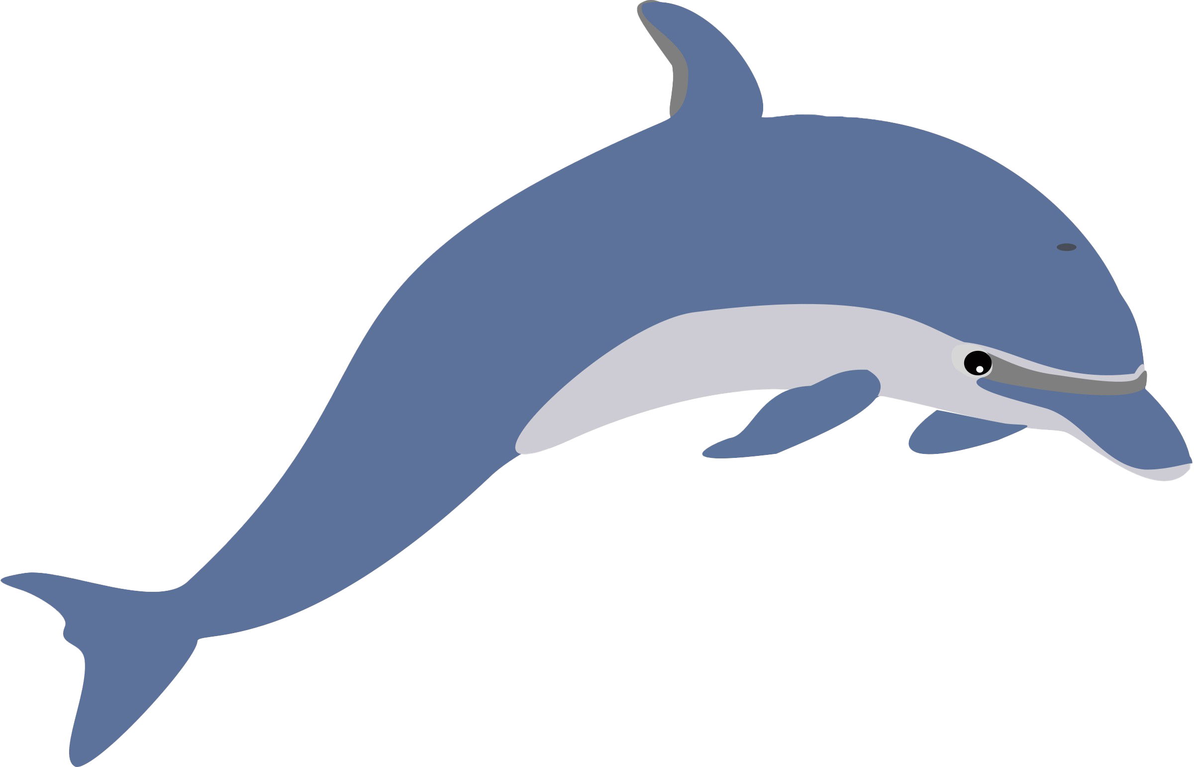 Jumping Dolphin Cartoon PNG Download Image