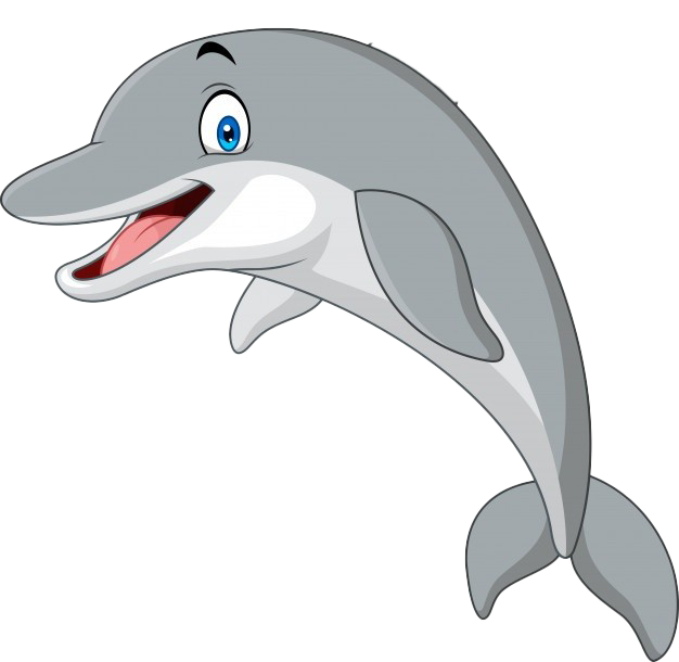 Jumping Dolphin Cartoon PNG High-Quality Image | PNG Arts