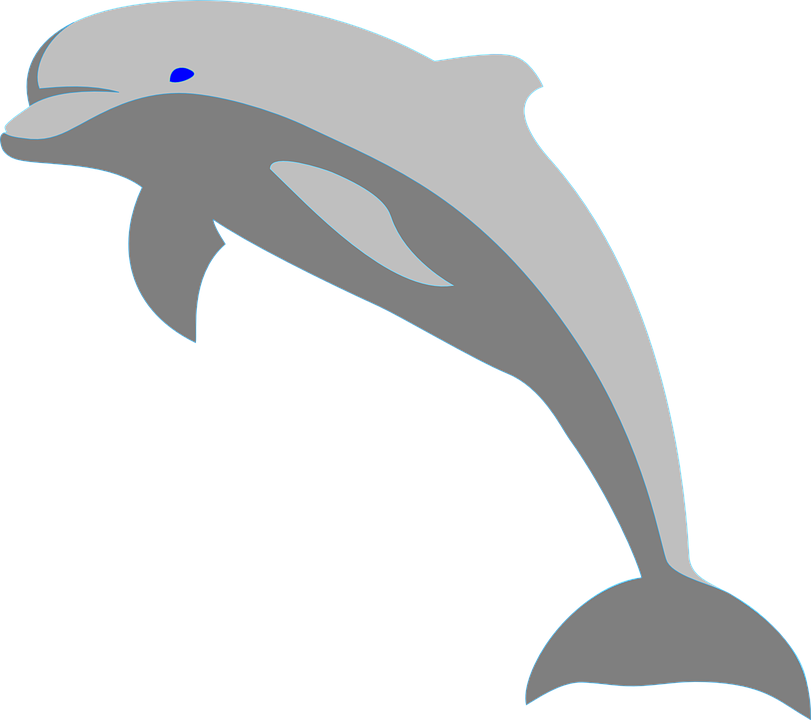 Imagem de PNG livre de golfinho pulando