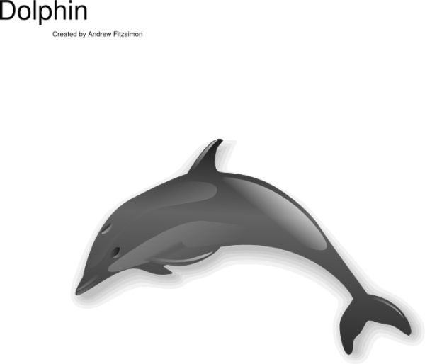 Jumping Dolphin PNG Image
