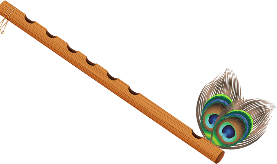 Immagine Trasparente del flauto della piuma di pavone