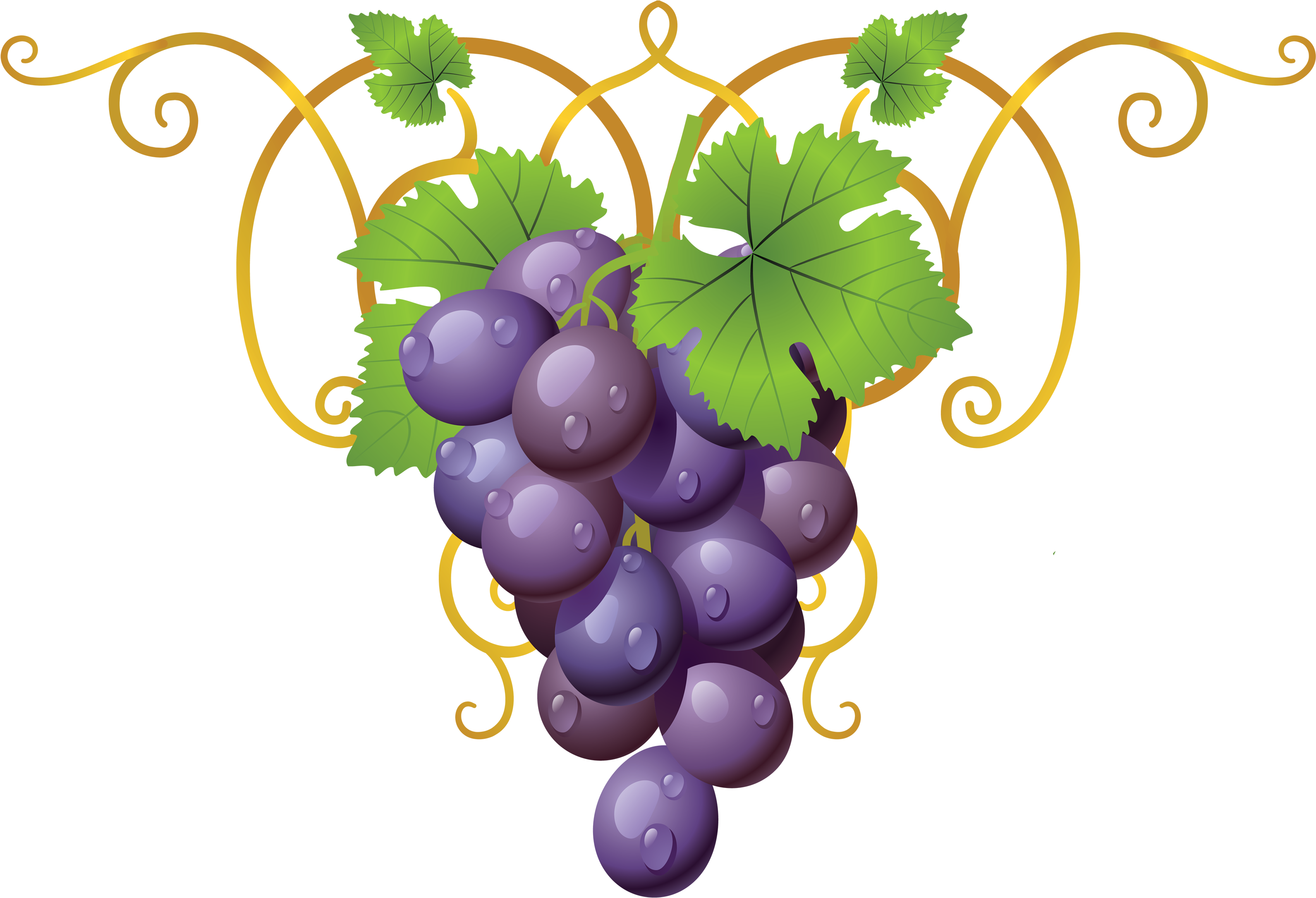 Purple Grapevine PNG Image Background
