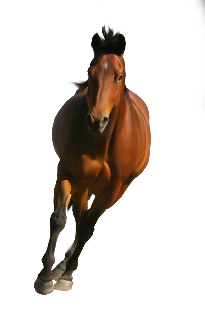 Running Brown Horse Free PNG Image