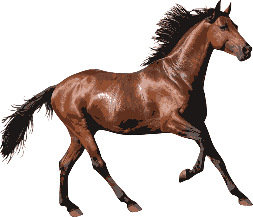 Running Brown Horse PNG Download Image