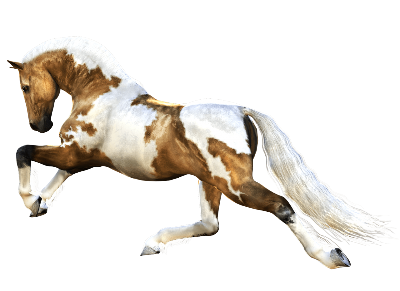 Imagen de PNG de caballo marrón corriendo
