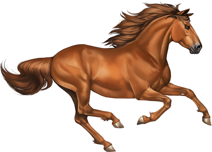 Running Brown Horse PNG Transparent Image