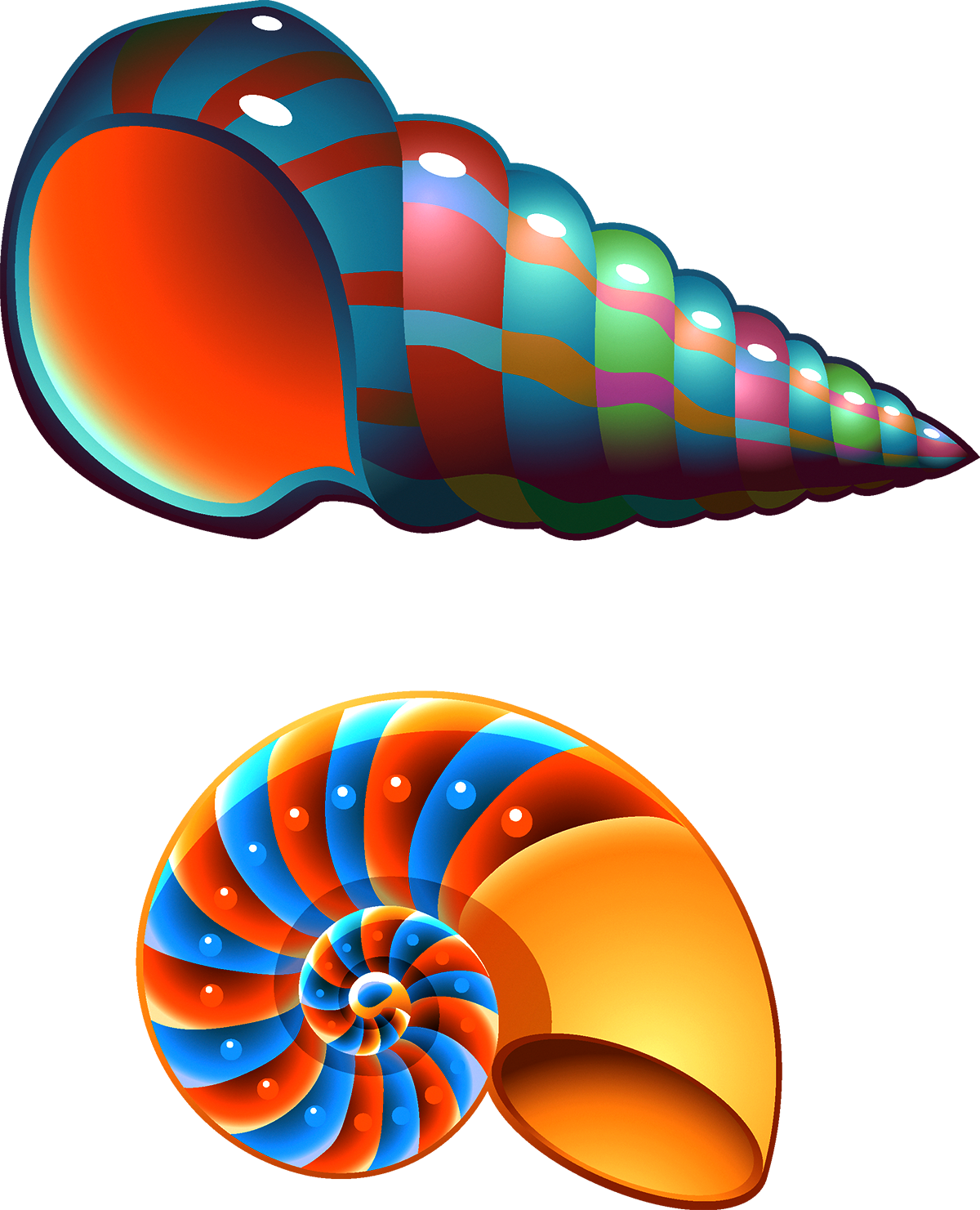Seashell Conch PNG Photo