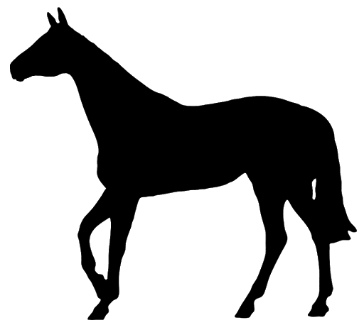 Silhouette Black Horse PNG Télécharger limage