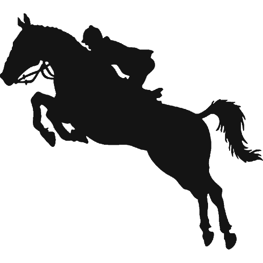 Silhouette Black Horse PNG High-Quality Image