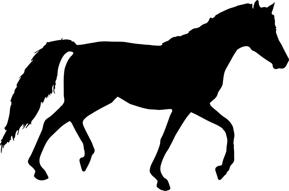 Silhouette Black Horse PNG Image