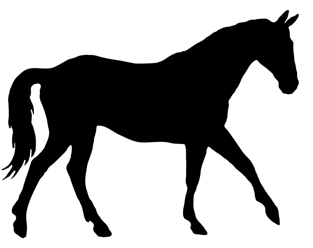 Silhouette Black Horse PNG Transparent Image