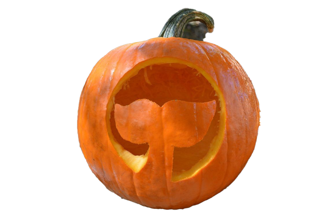 Simple Carved Pumpkin Transparent Image