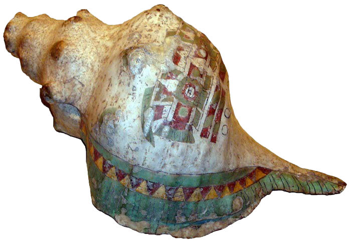 Caracol seashell conch PNG descargar imagen
