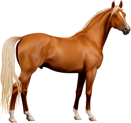 Standing Brown Horse Free PNG Image