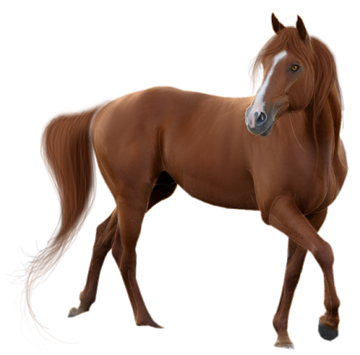 Staande bruin paard PNG Download Afbeelding