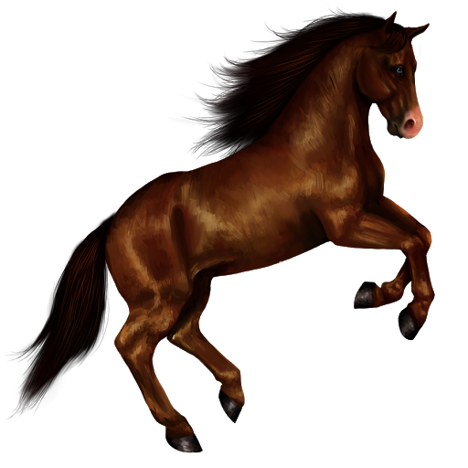 Staande bruin paard PNG hoogwaardige Afbeelding