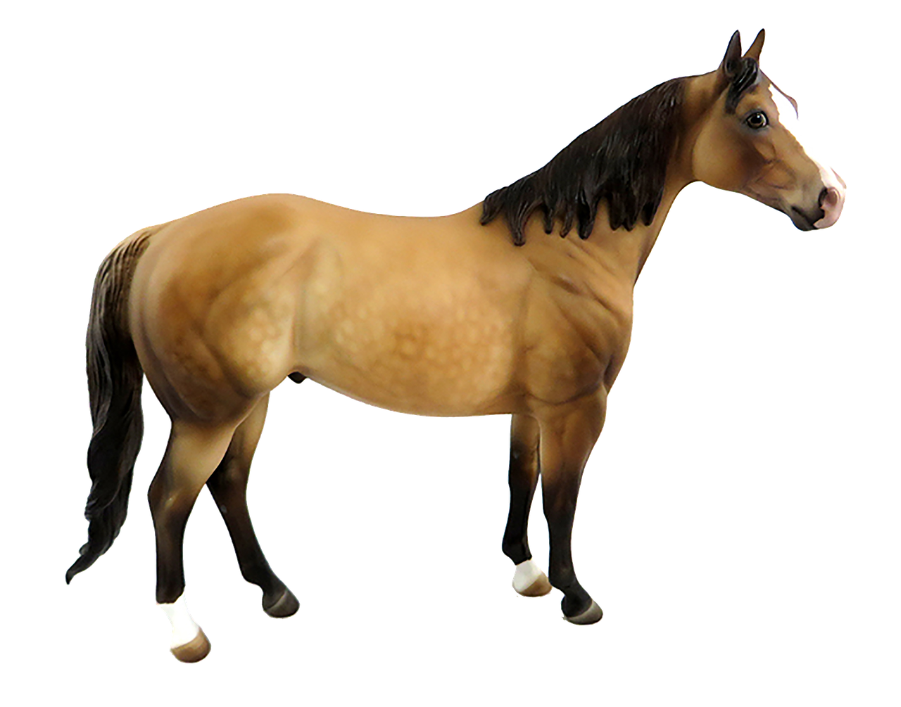 Standing Brown Horse Transparent Image