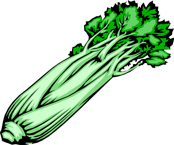 Vector Celery Free PNG Image