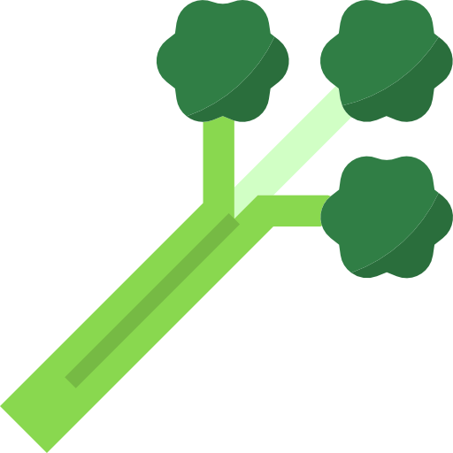 Vector Celery PNG Photo