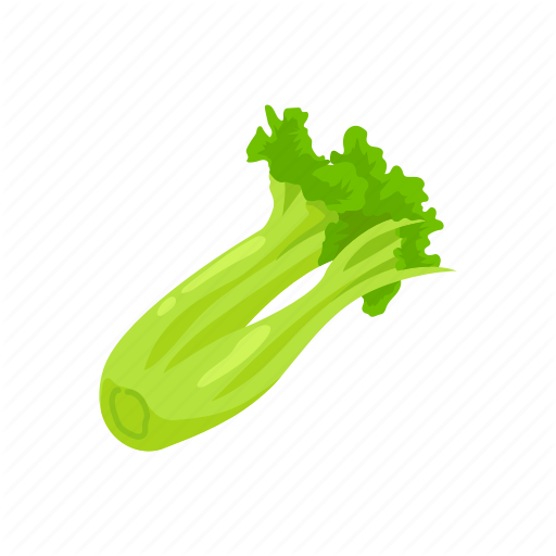 Vector Celery PNG Picture