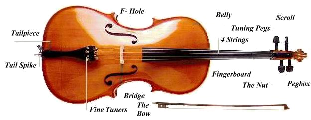 Вектор виолончель прозрачный образ