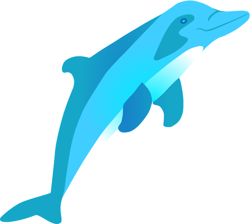 Vector Jumping Dolphin Free PNG Image