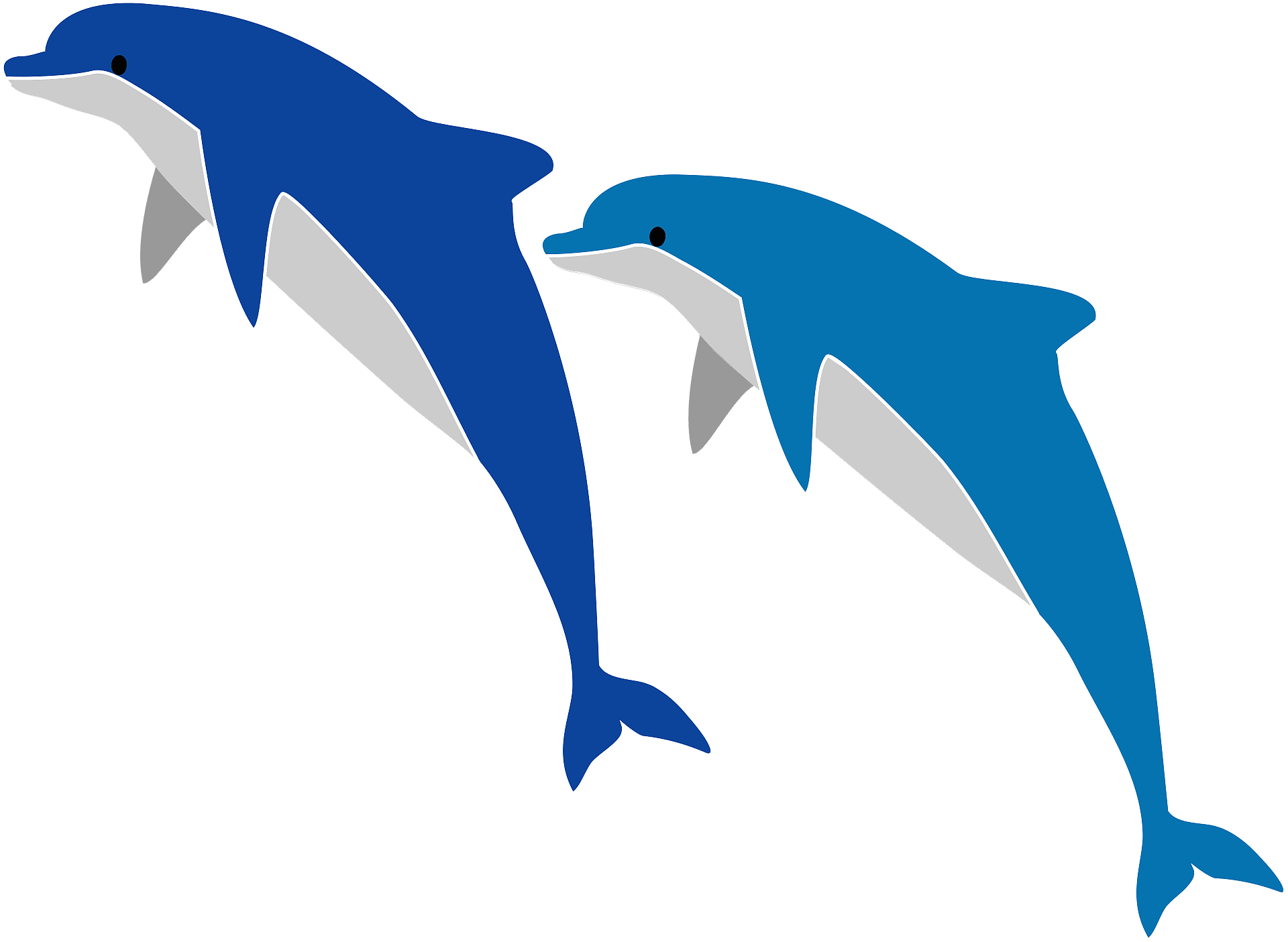Vector Jumping Dolphin PNG Background Image