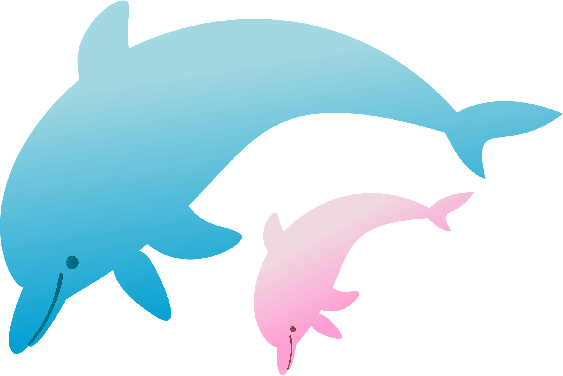 Vector Jumping Dolphin Transparent Background PNG
