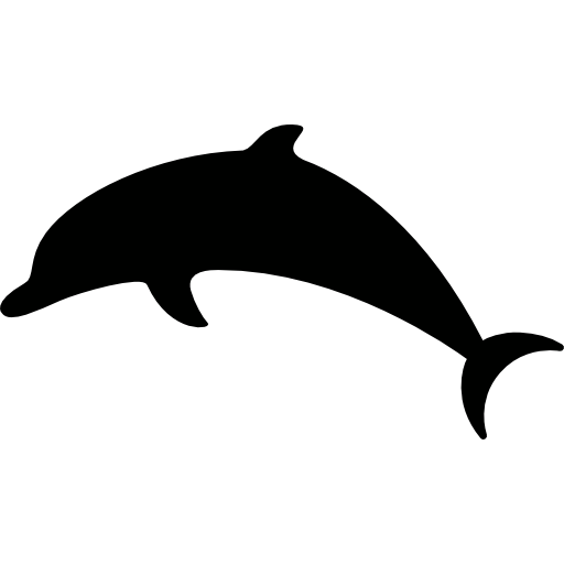 Vector saltando dolphin imagem transparente