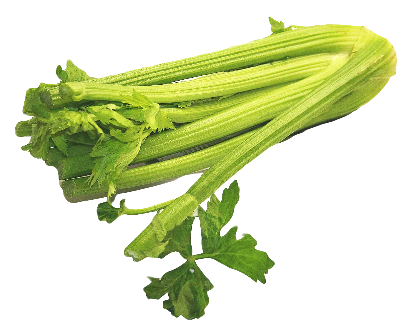 Vegetable Celery Free PNG Image