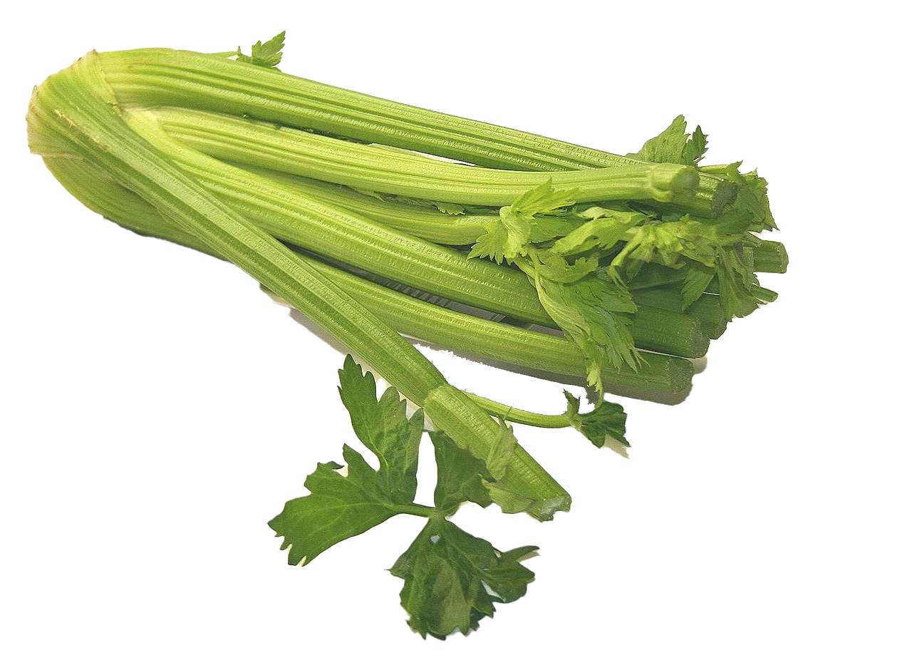 Vegetable Celery PNG Download Image