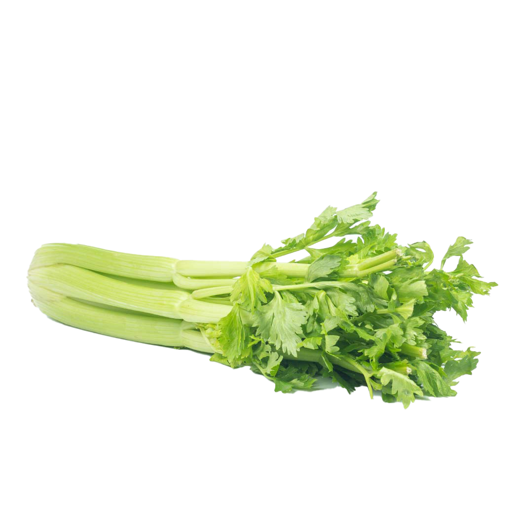 Vegetable Celery PNG Image
