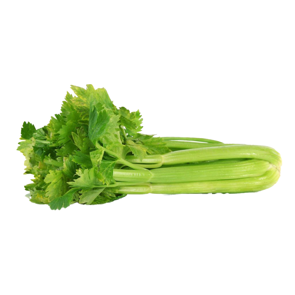 Vegetable Celery PNG Photo