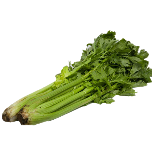 Vegetable Celery PNG Picture
