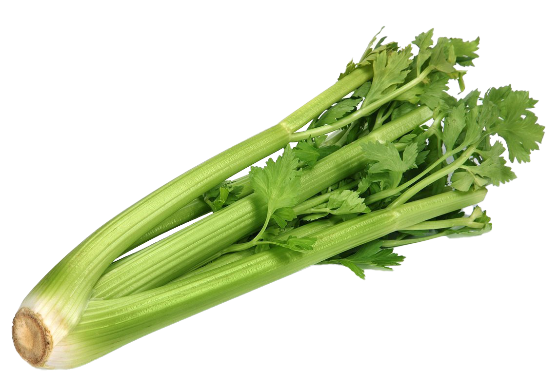 Vegetable Celery PNG Transparent Image