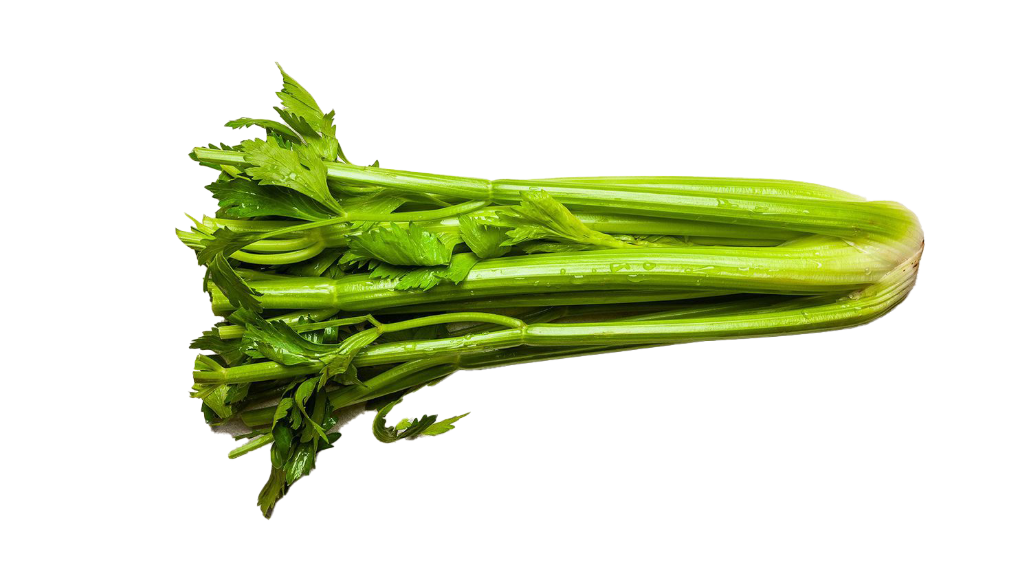 Vegetable Celery Transparent Images