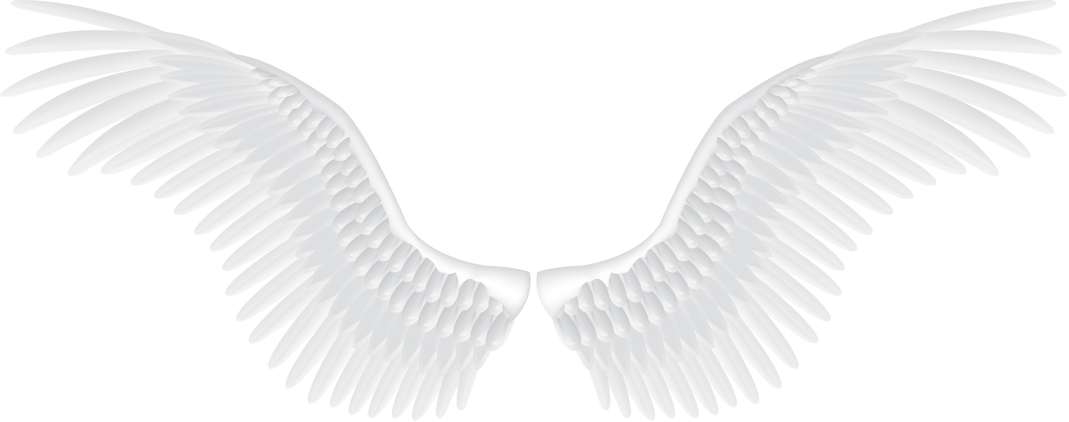 White Angel Wings PNG Download Image