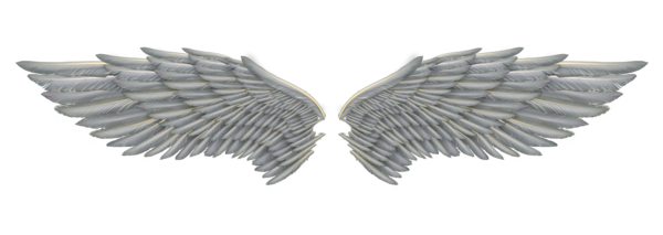 White Angel Wings PNG High-Quality Image