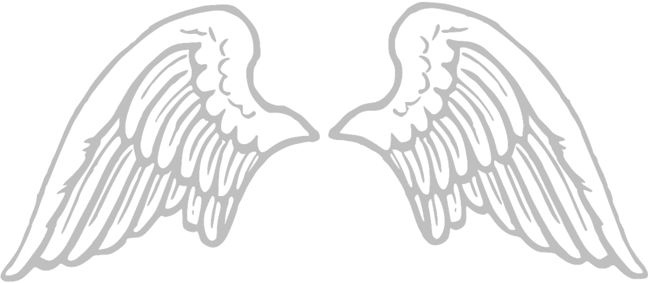 Sfondo bianco dellimmagine del PNG delle ali di angelo bianco
