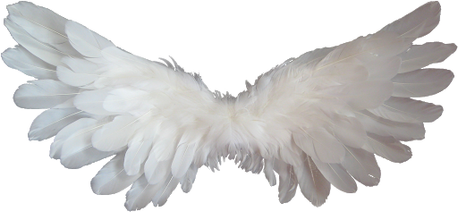 Branco anjo asas PNG foto