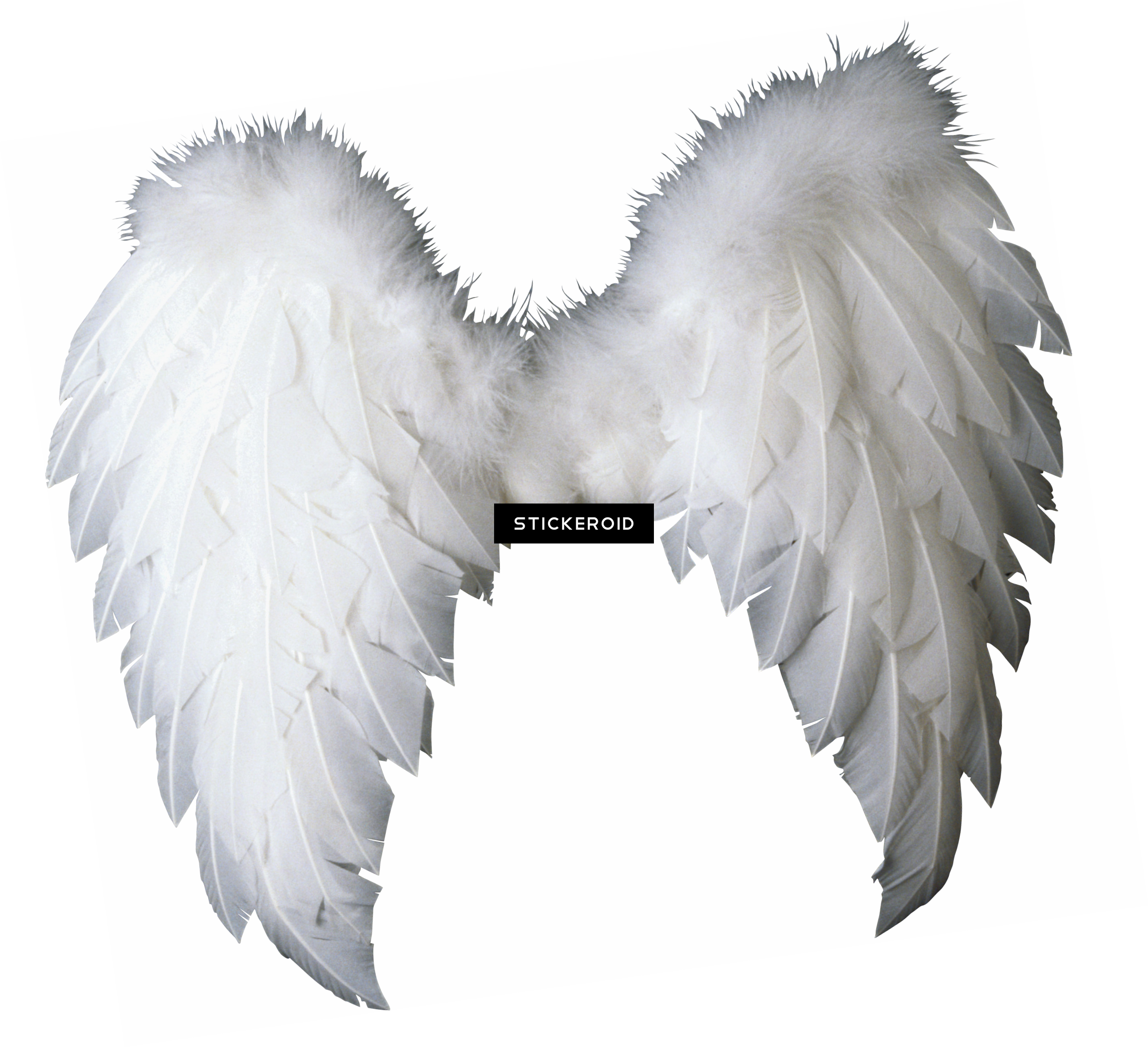 흰색 천사 날개 PNG 투명 이미지