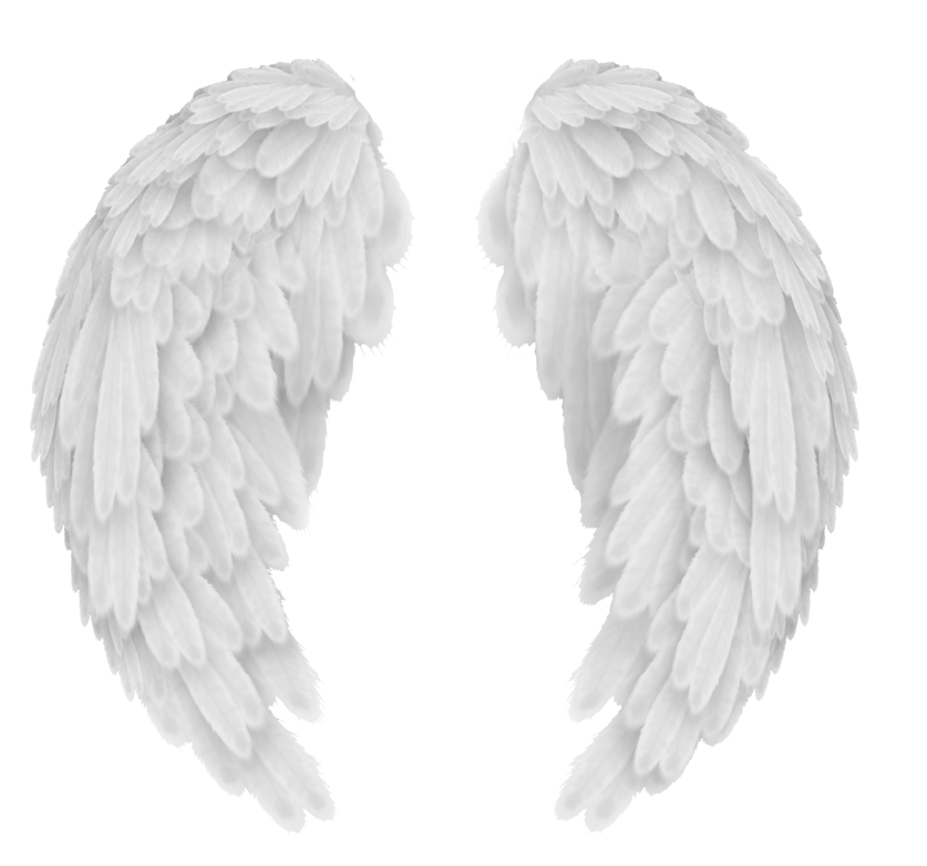 흰색 천사 날개 투명 이미지
